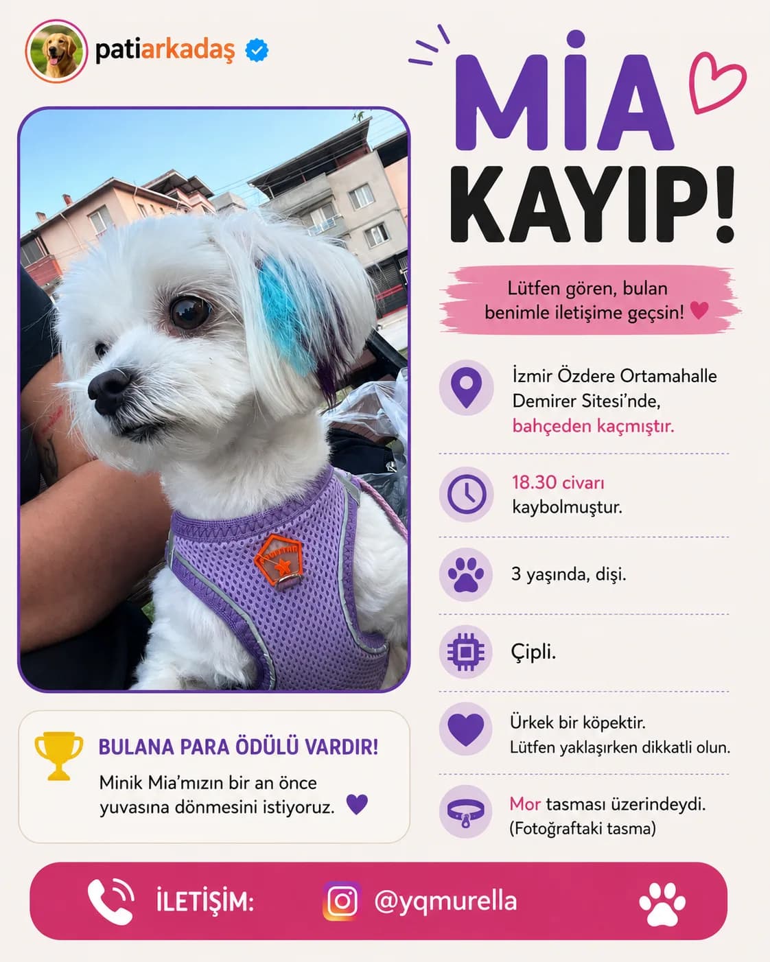 Mia fotoğraf 1