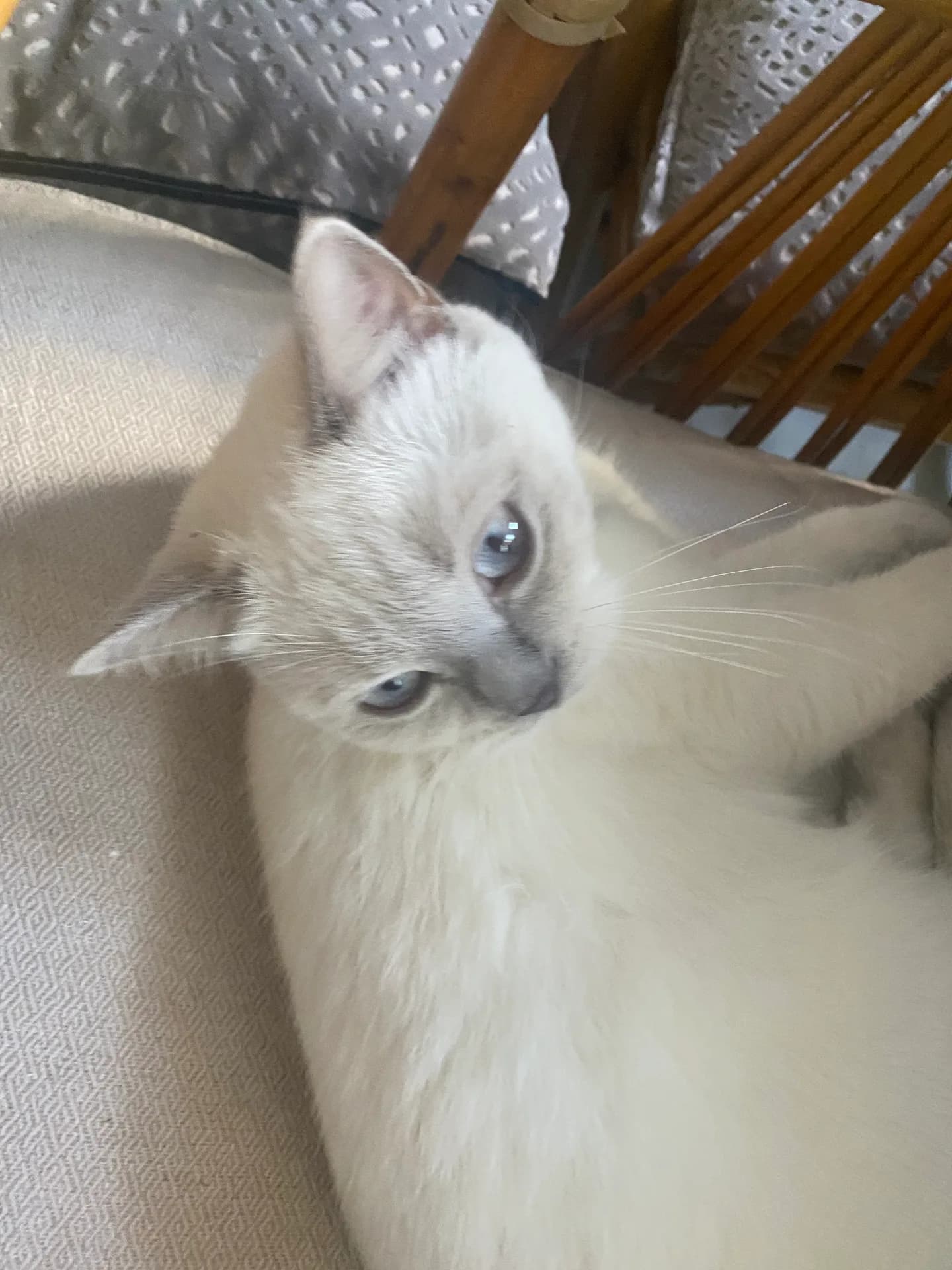 Lily fotoğraf 3