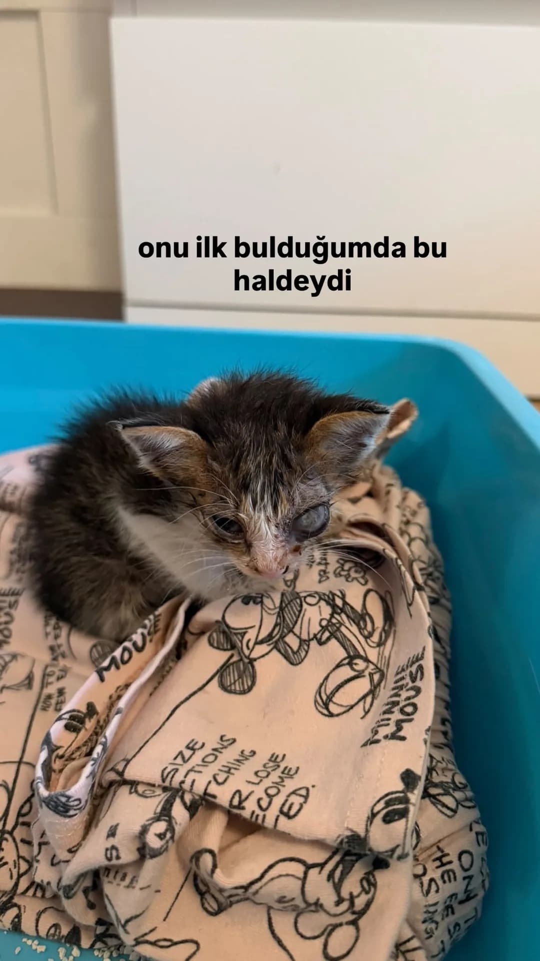 Korsan fotoğraf 4