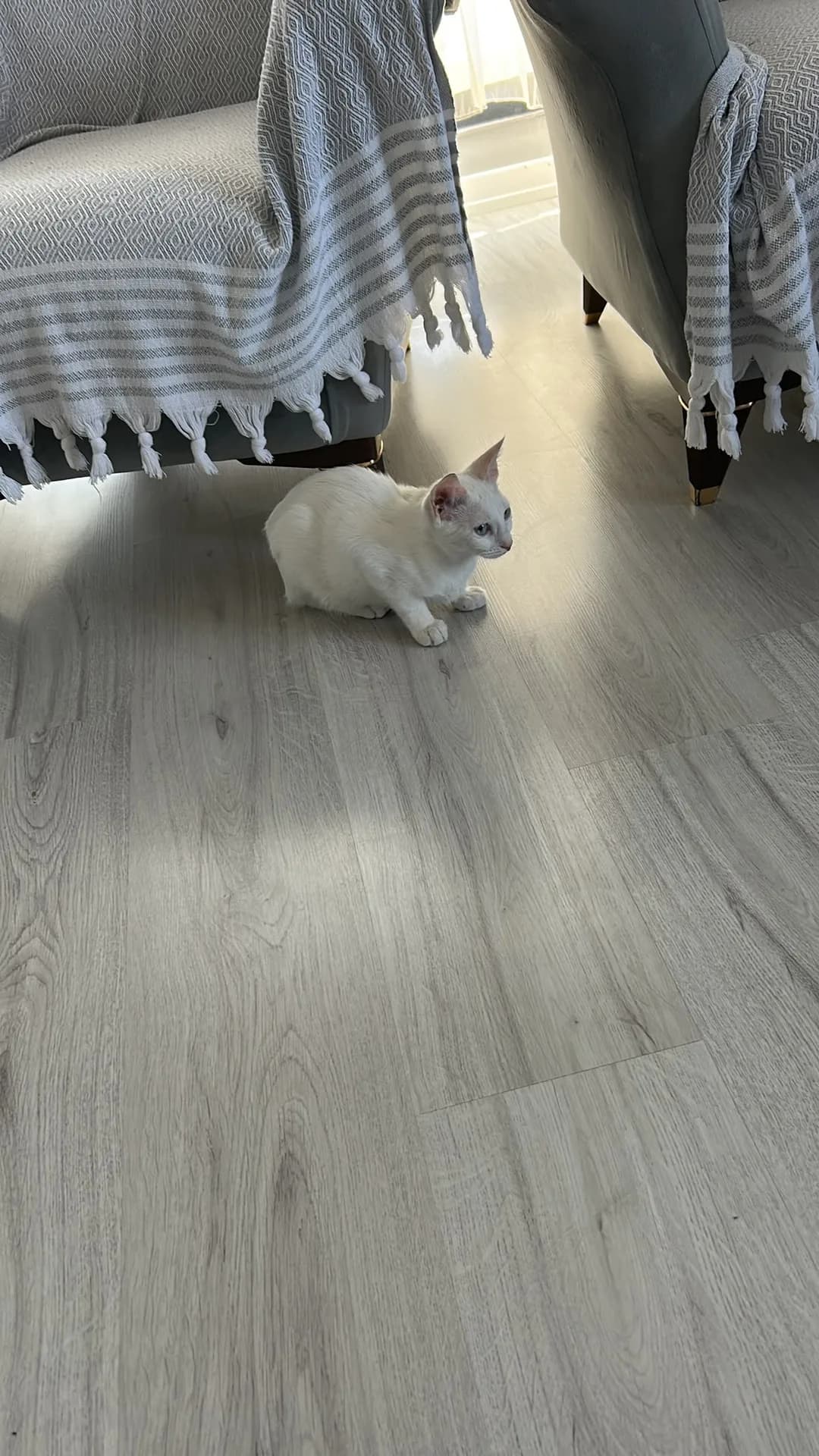 Bilinmiyor fotoğraf 2