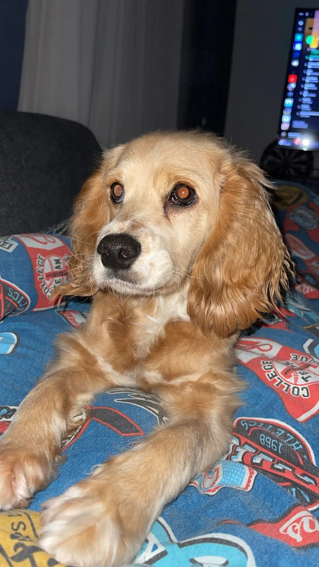 lucy fotoğraf 4