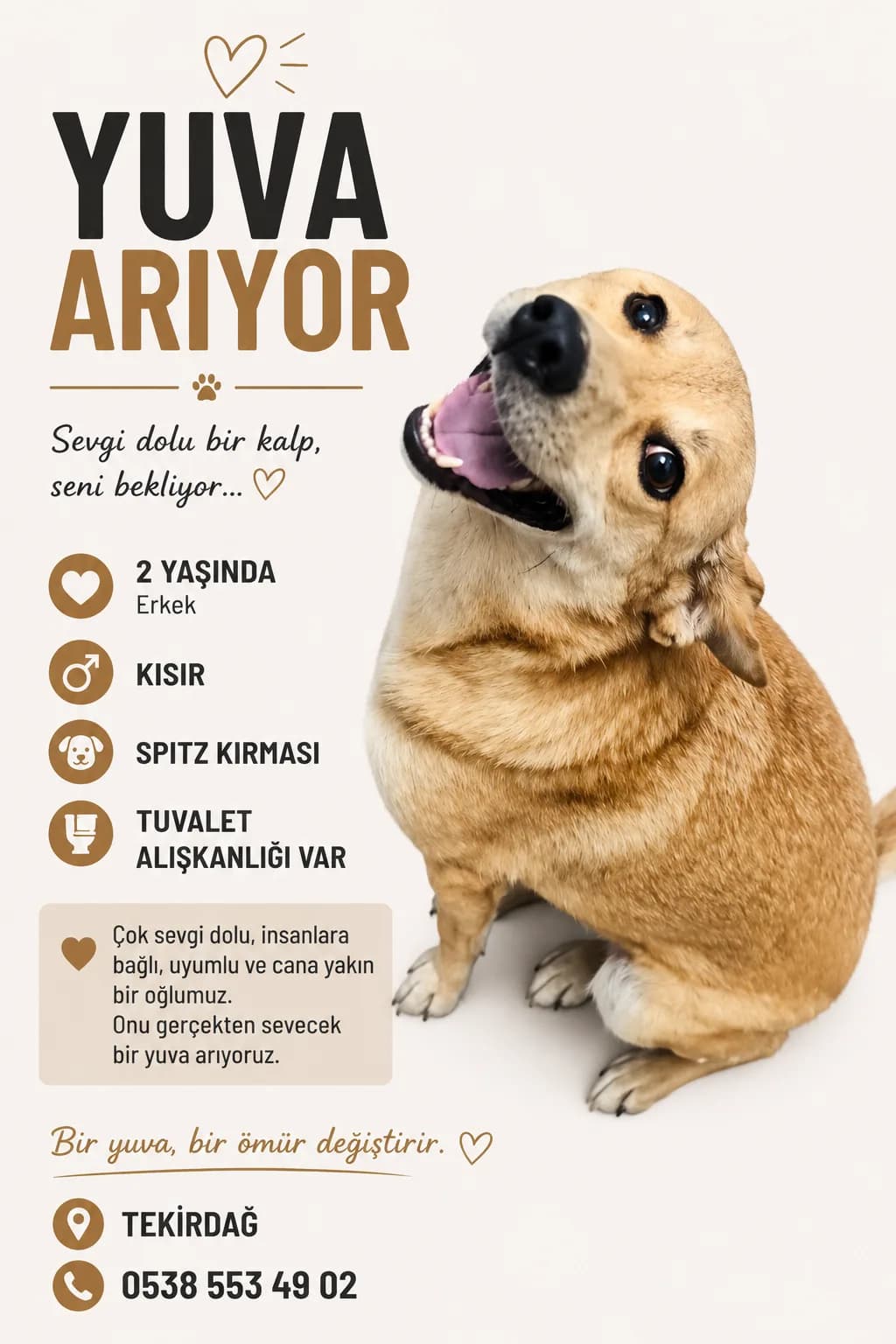 TARÇIN o fotoğraf 4