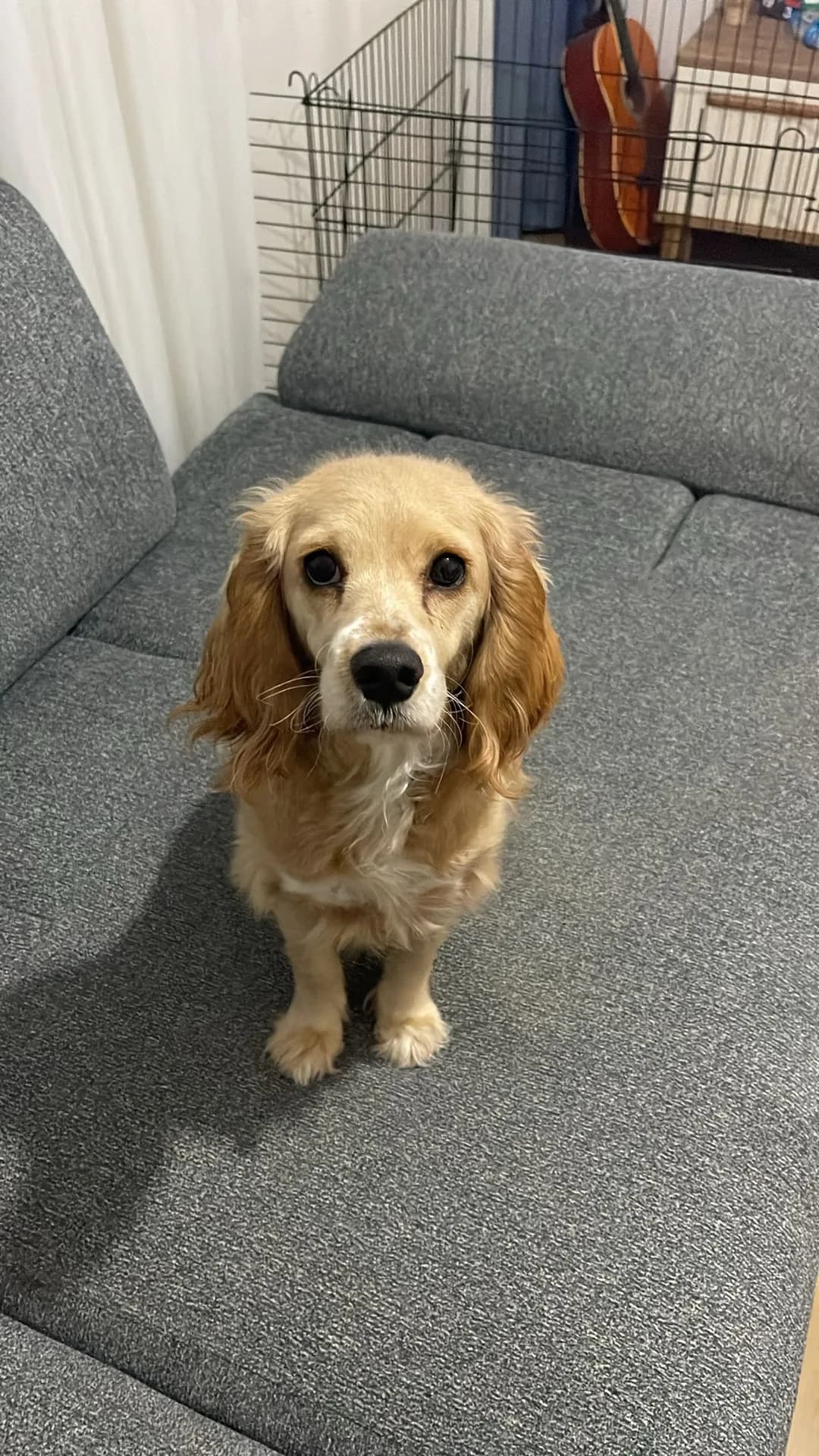 lucy fotoğraf 3