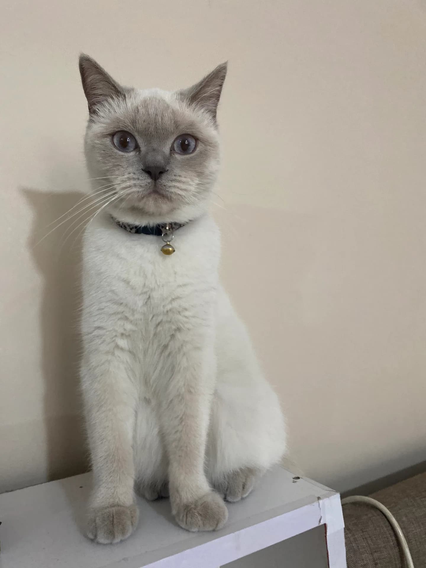 Lily fotoğraf 2