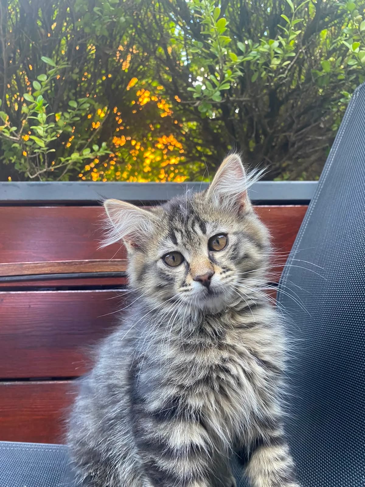 Minik fotoğraf 2