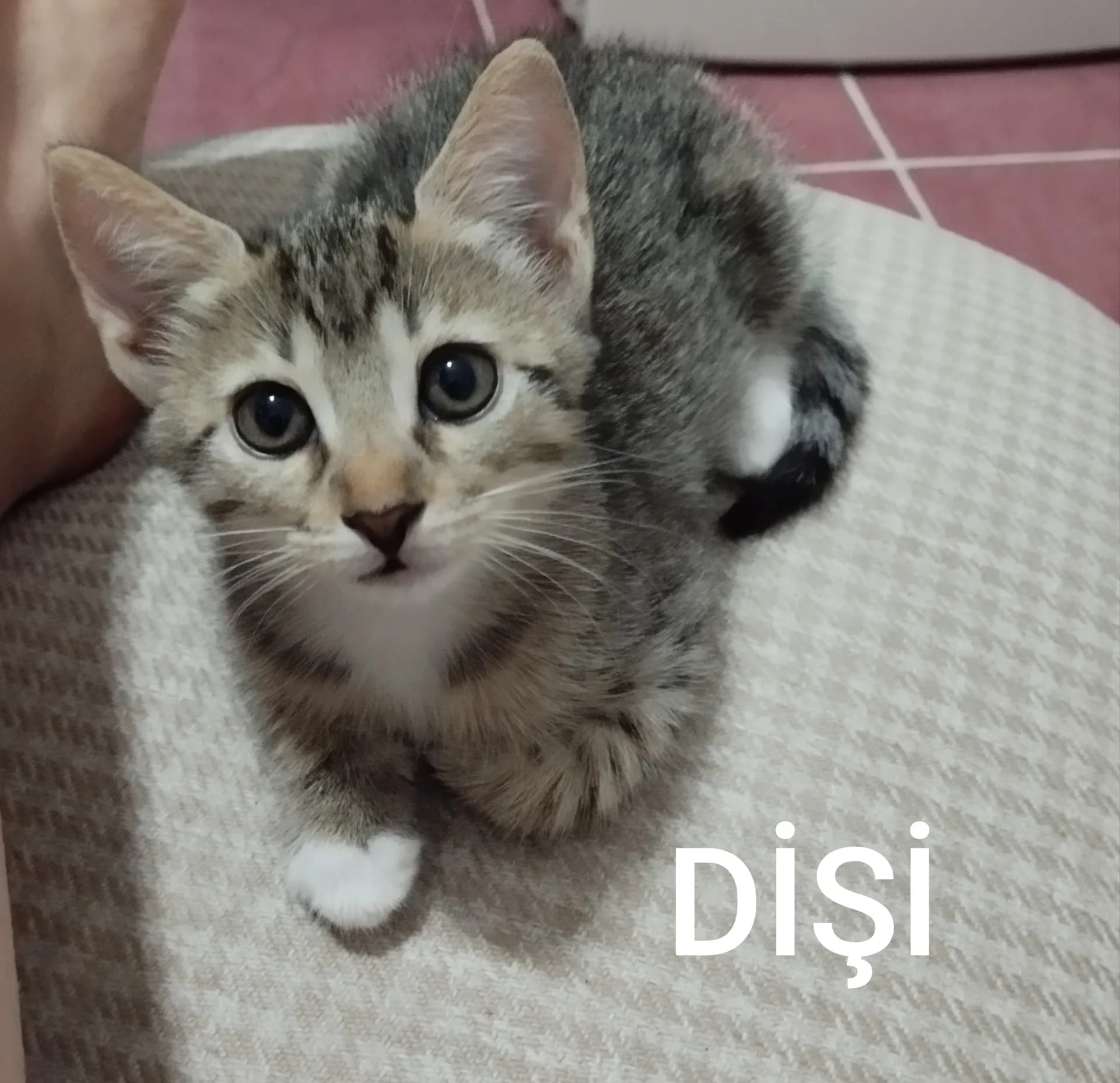 İsimsiz fotoğraf 3