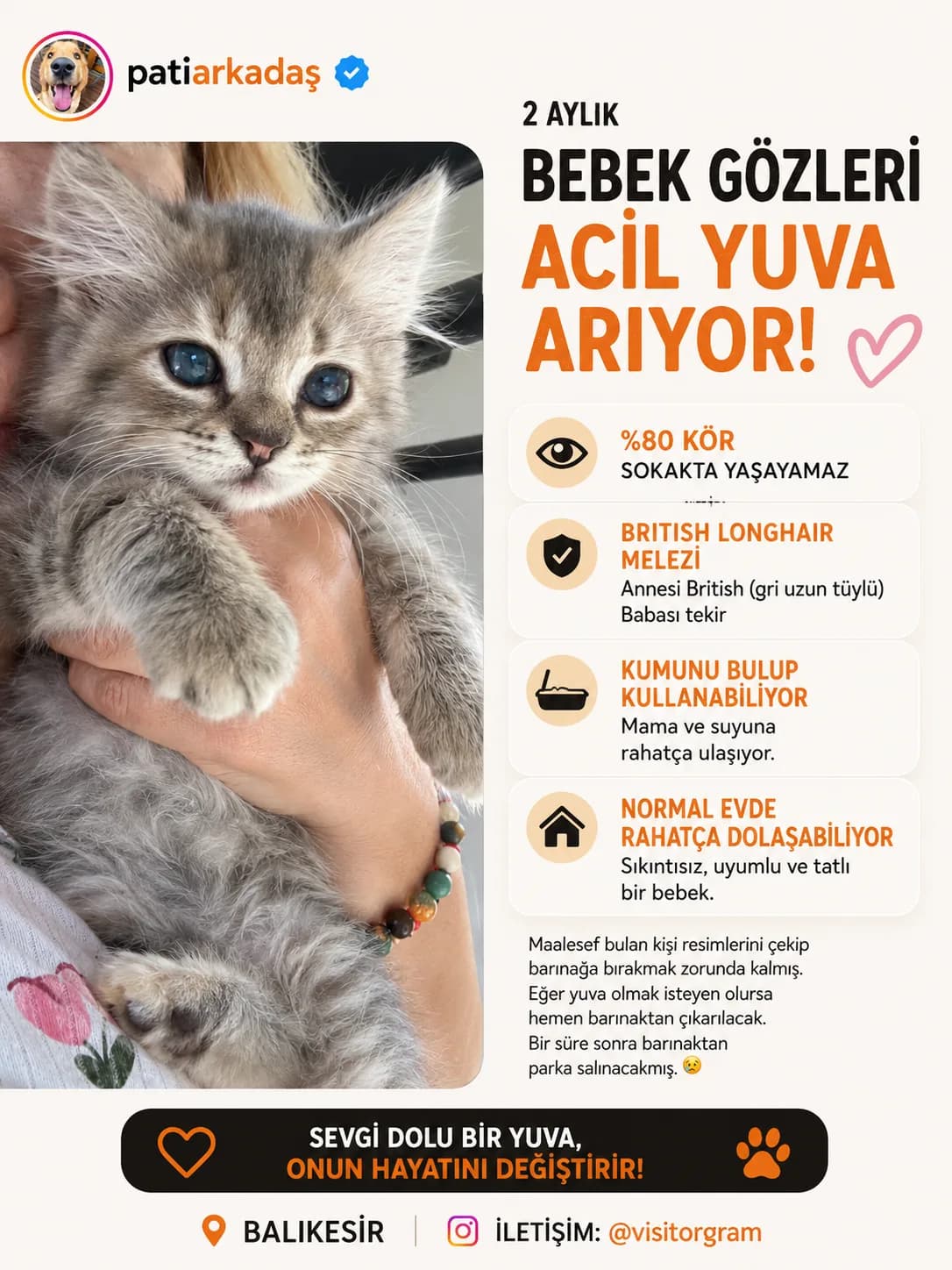 Patiarkadaş fotoğraf 1