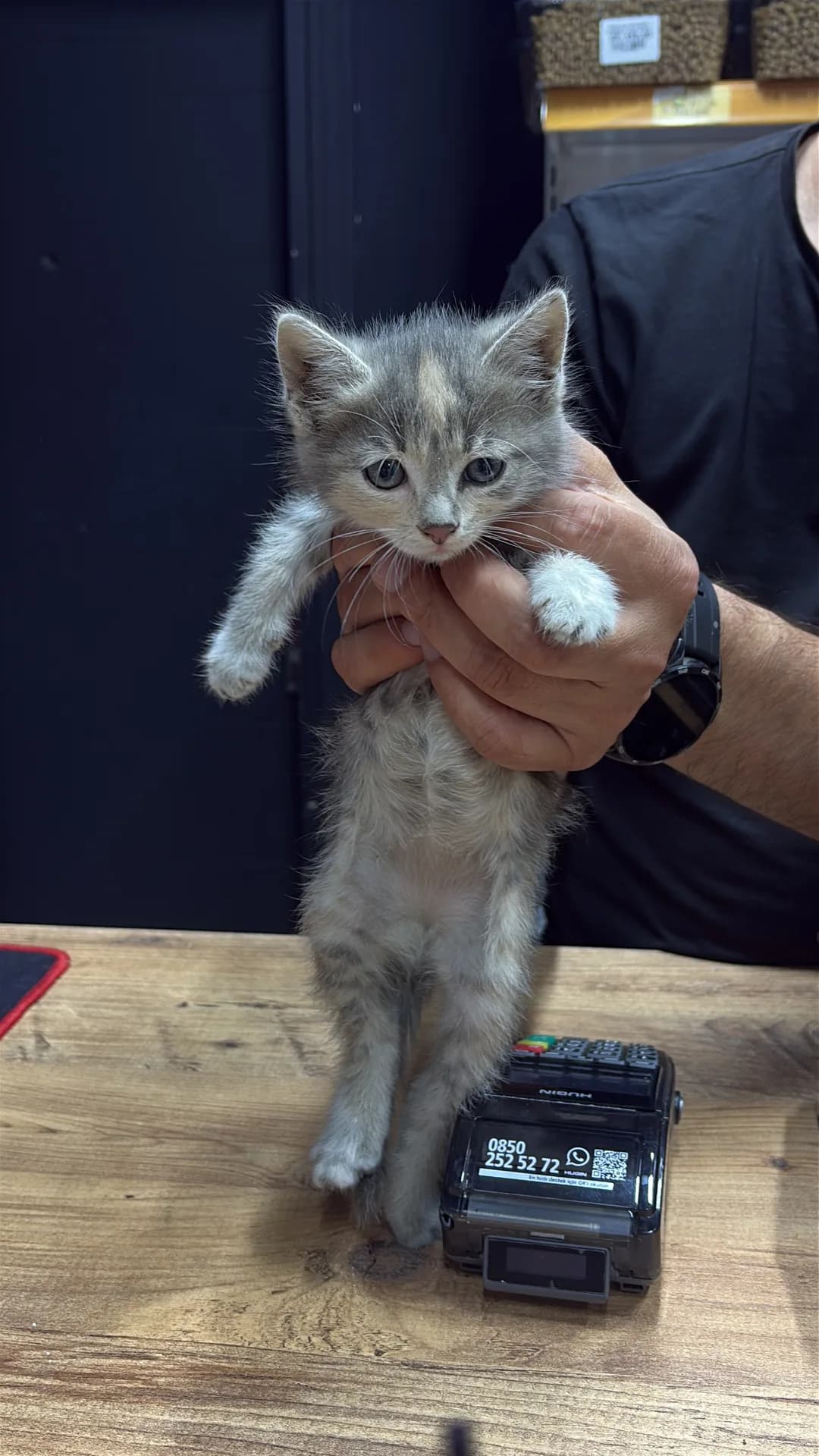 Henüz isimsiz fotoğraf 1