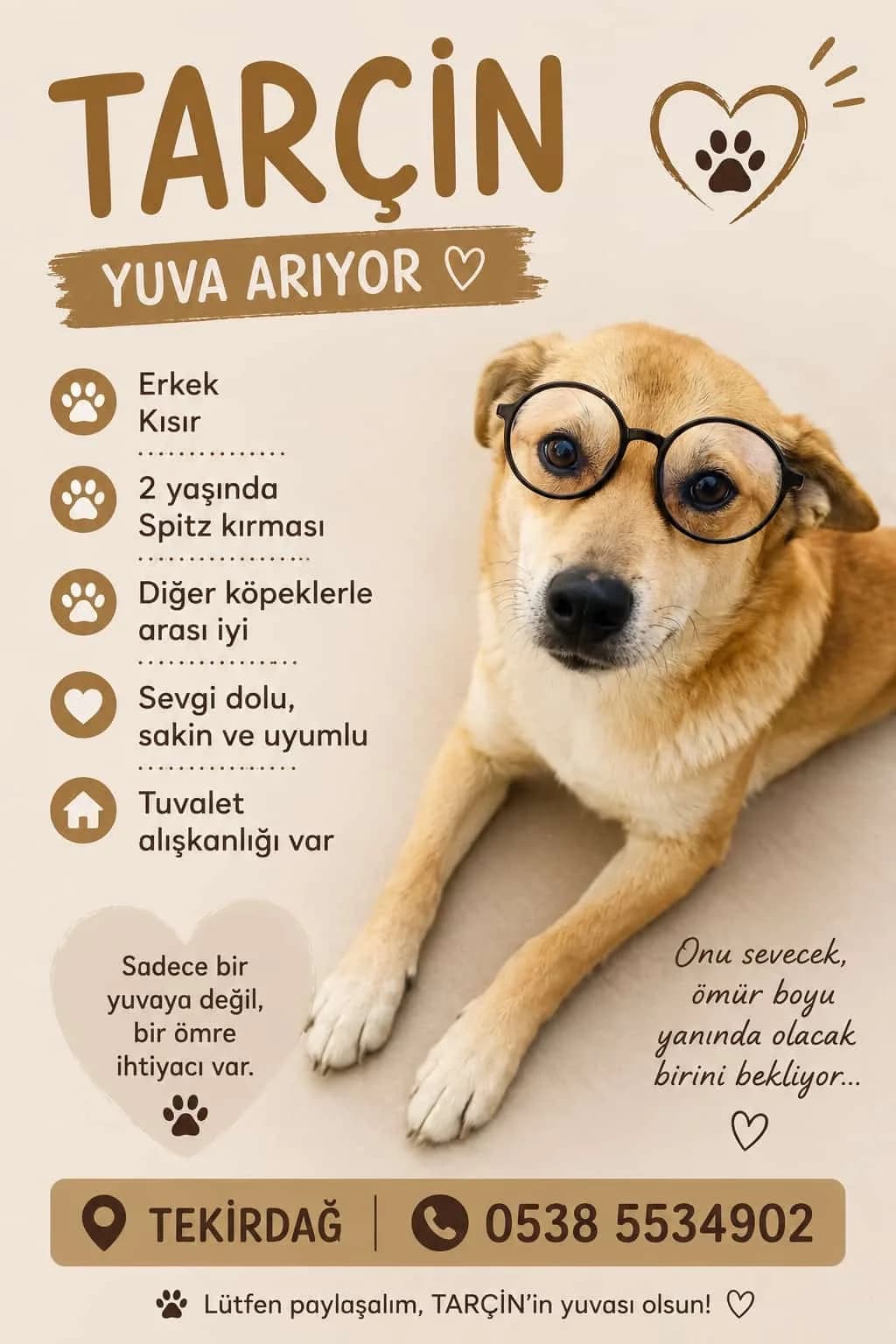 TARÇIN o fotoğraf 2
