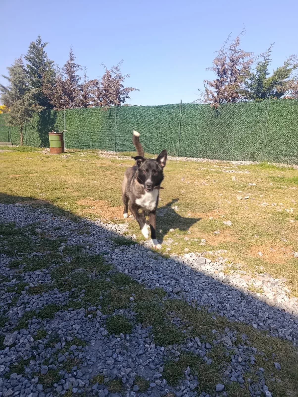 Pia fotoğraf 3