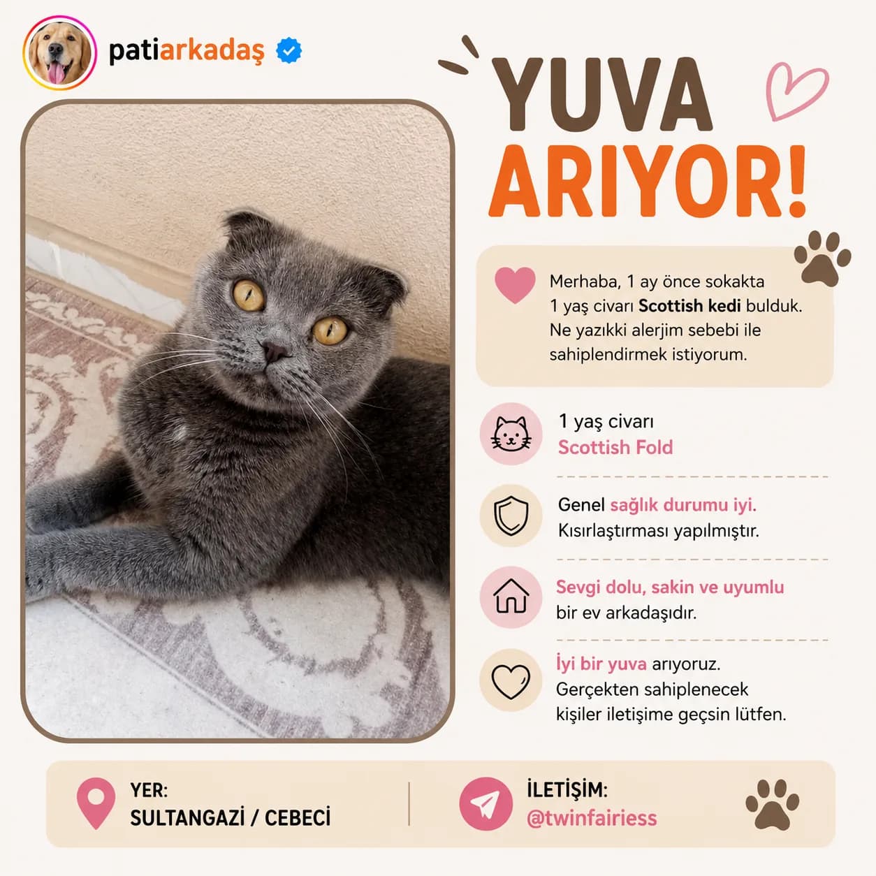patiarkadaş fotoğraf 1