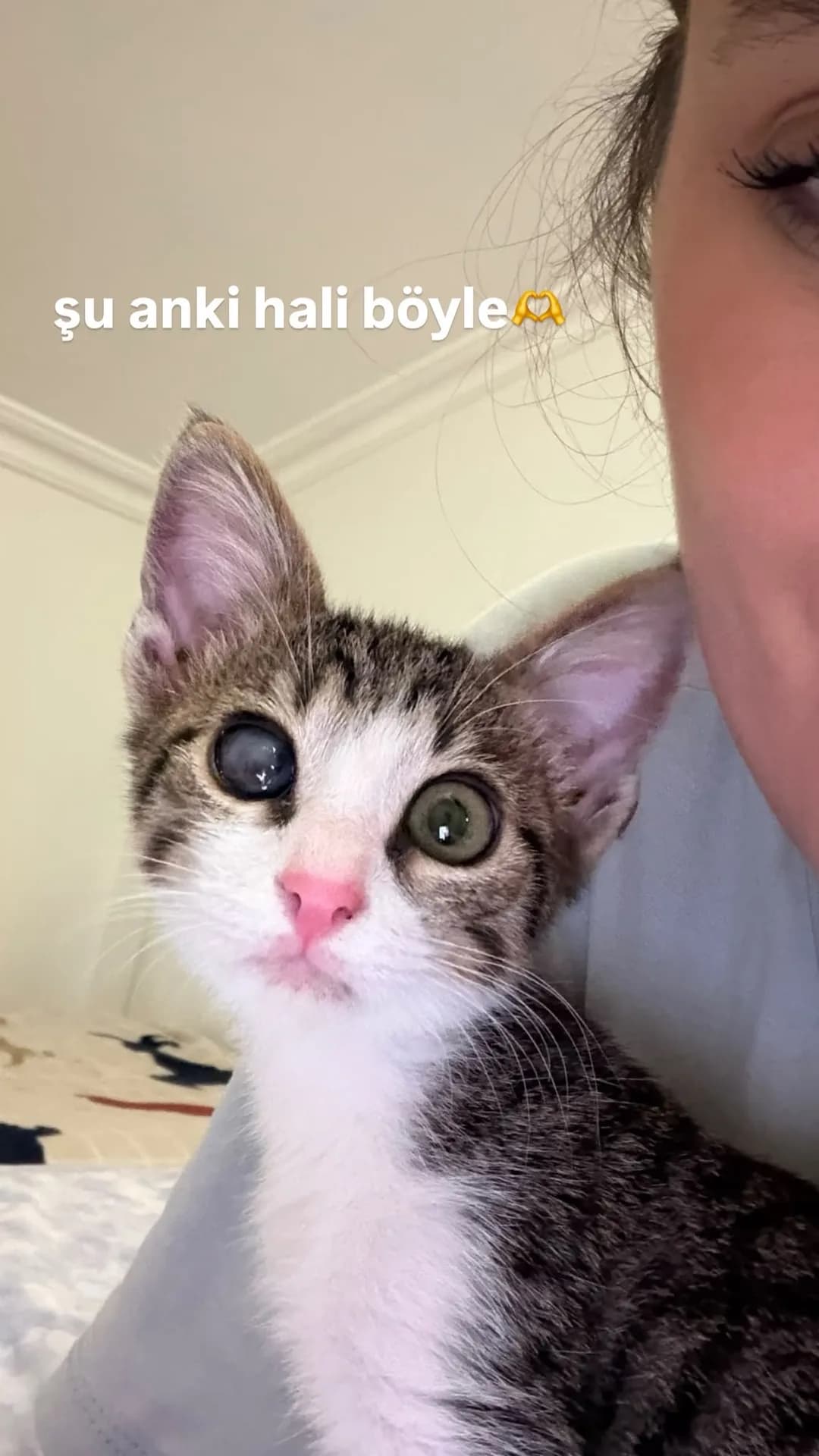 Korsan fotoğraf 2