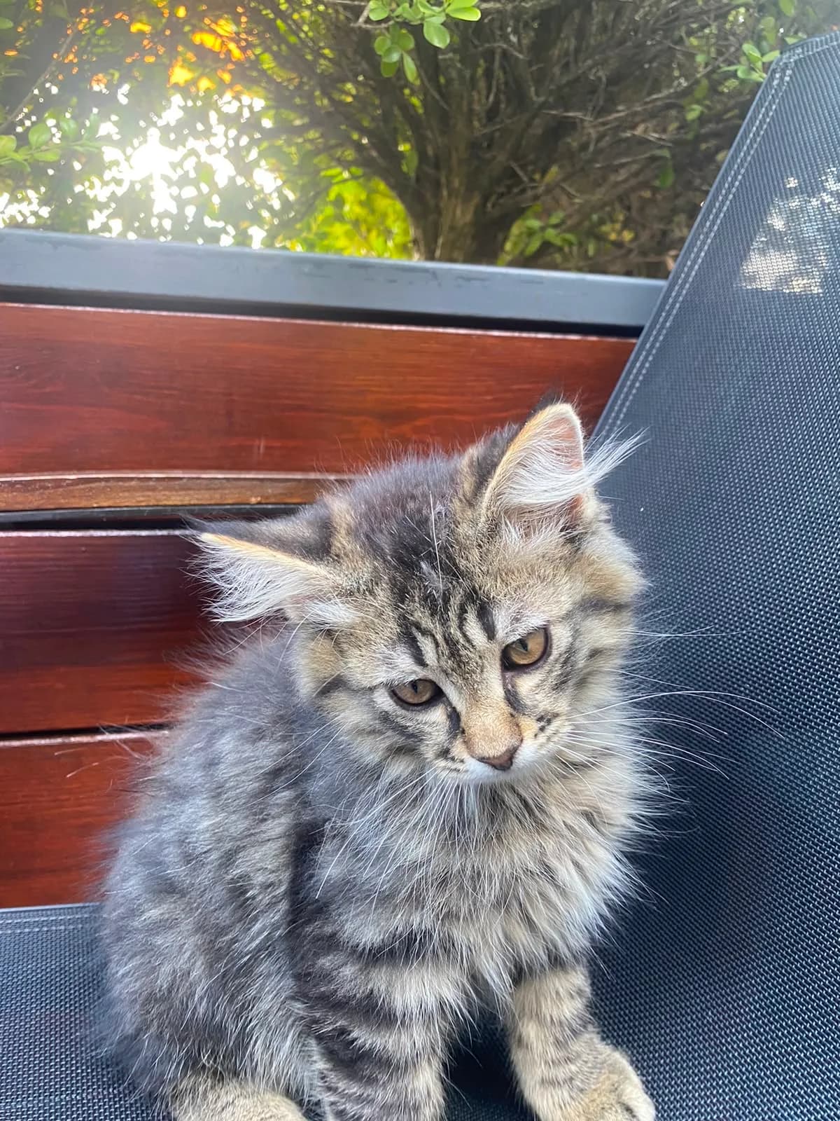 Minik fotoğraf 3