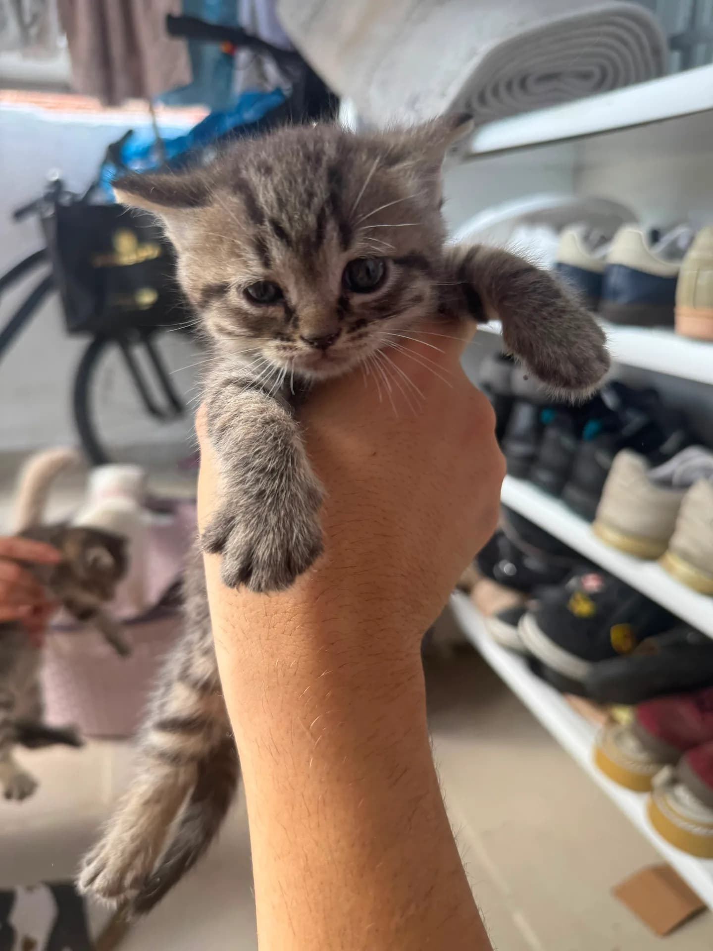 Yeni doğan fotoğraf 2